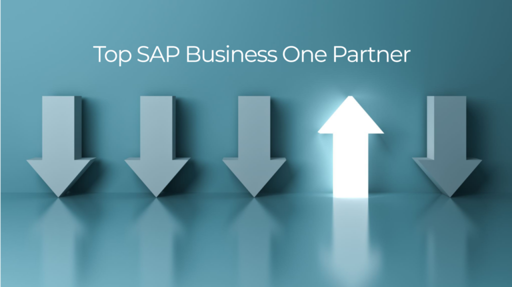 top 10 sap b1 partners in india